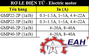 RƠ LE ĐIỆN TỬ – ELECTRIC MOTOR PROTECTION RELAYS